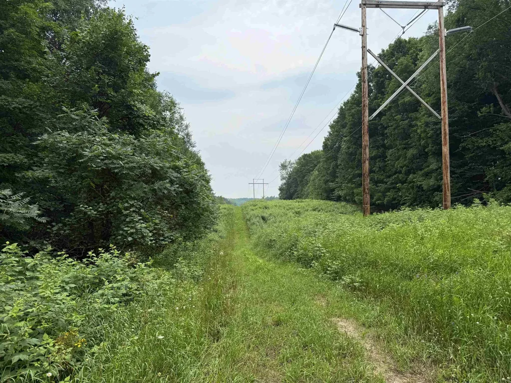 3512 SW Ingersoll Road Springfield Township MI 49633