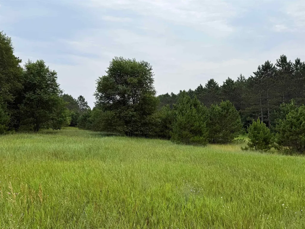 3512 SW Ingersoll Road Springfield Township MI 49633