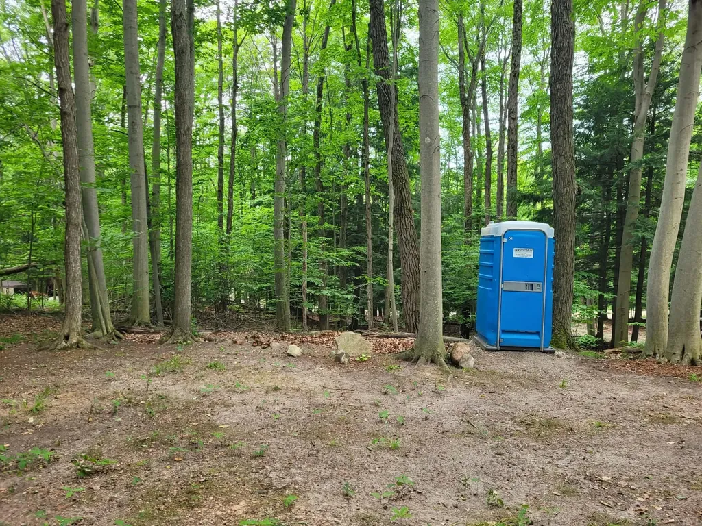257 W Forest Trail Rose Lake Township MI 49655