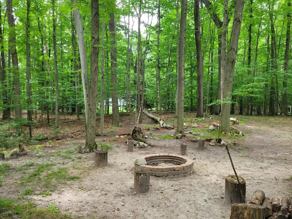 257 W Forest Trail Rose Lake Township MI 49655