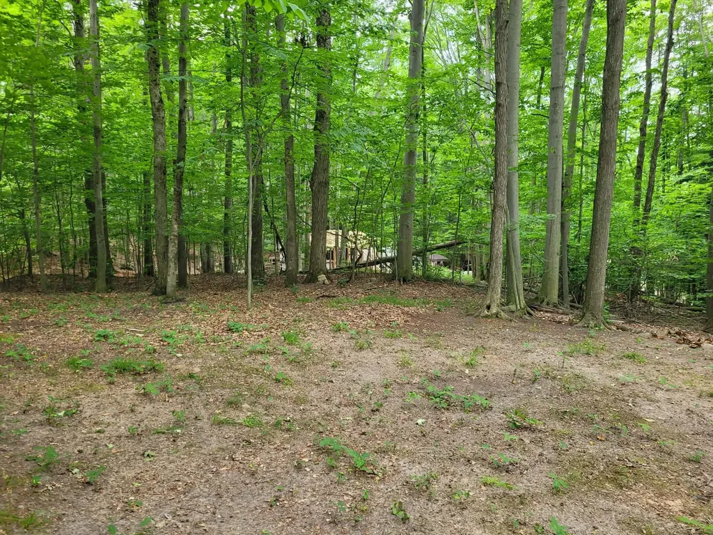 257 W Forest Trail Rose Lake Township MI 49655