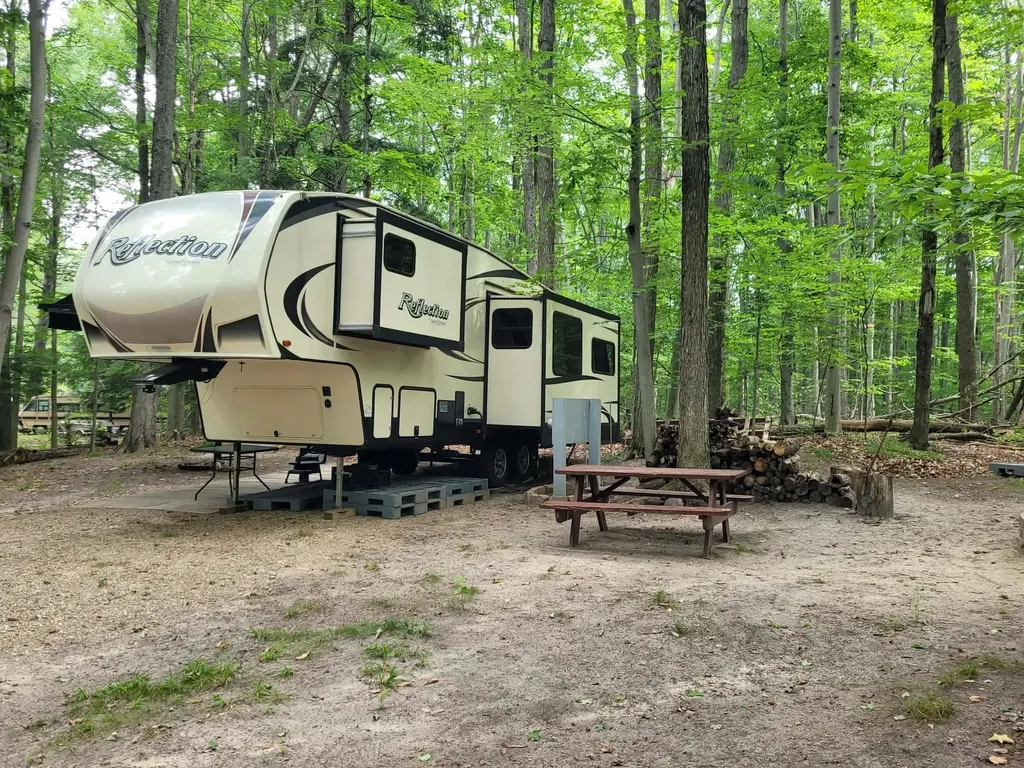 257 W Forest Trail Rose Lake Township MI 49655