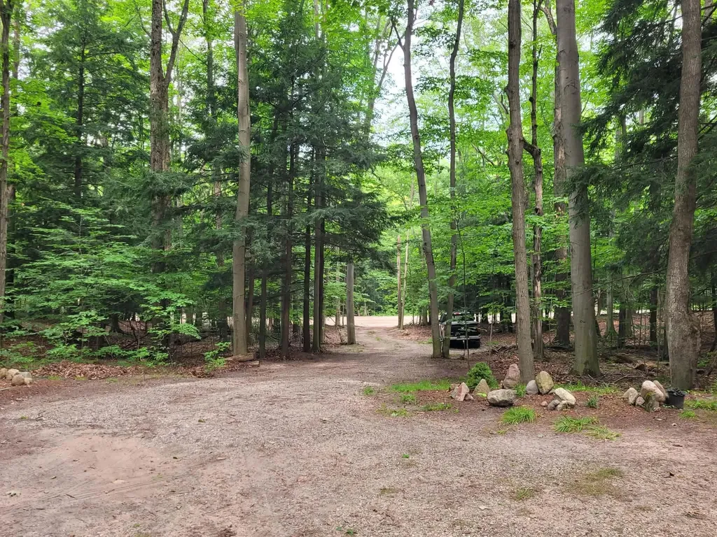 257 W Forest Trail Rose Lake Township MI 49655