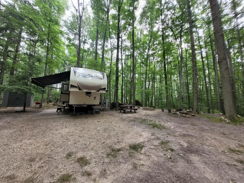257 W Forest Trail Rose Lake Township MI 49655