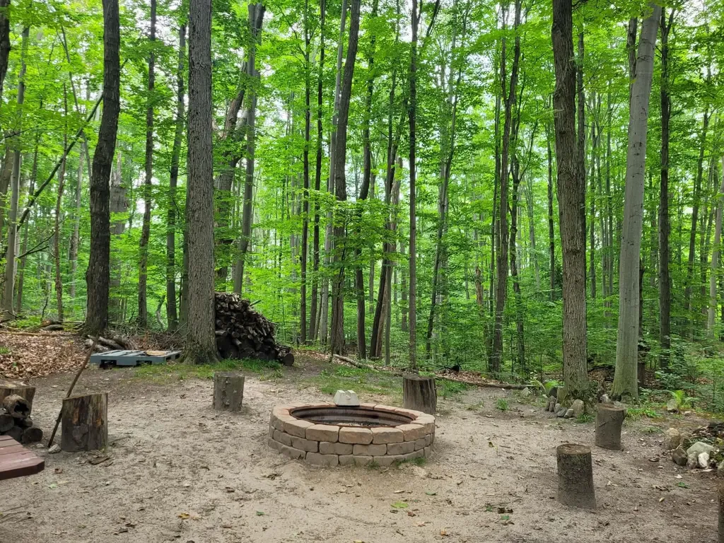 257 W Forest Trail Rose Lake Township MI 49655