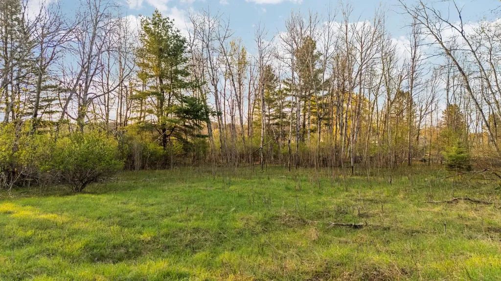 402 S Division Street Kearney Township MI 49615