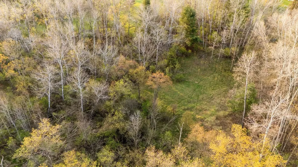 402 S Division Street Kearney Township MI 49615