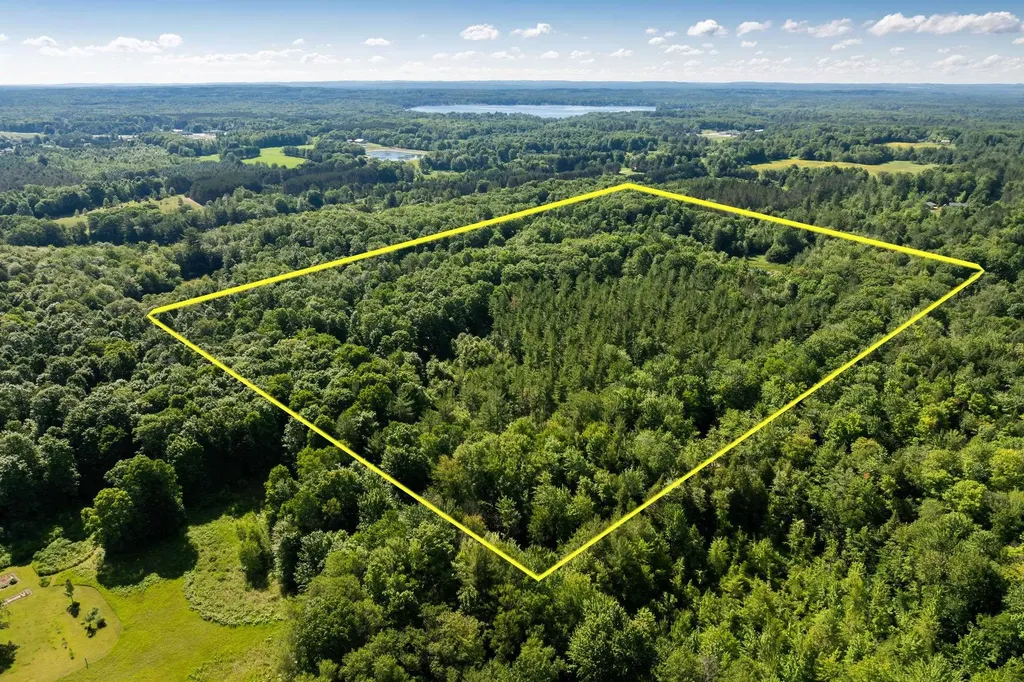 Tbd Lake Fife Lake Township MI 49633