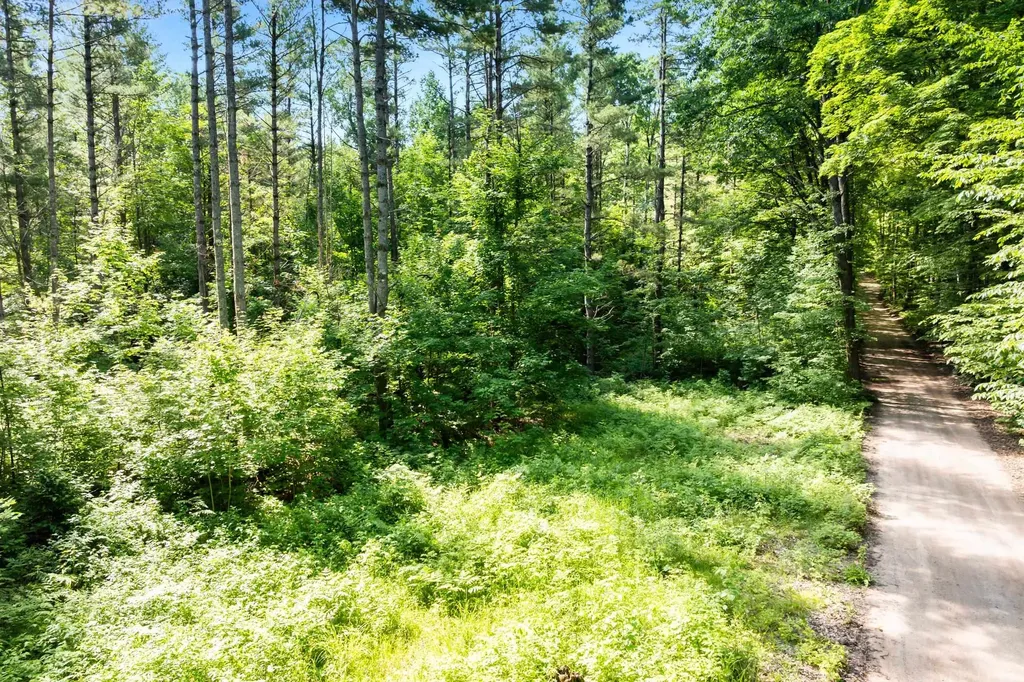 Tbd Lake Fife Lake Township MI 49633