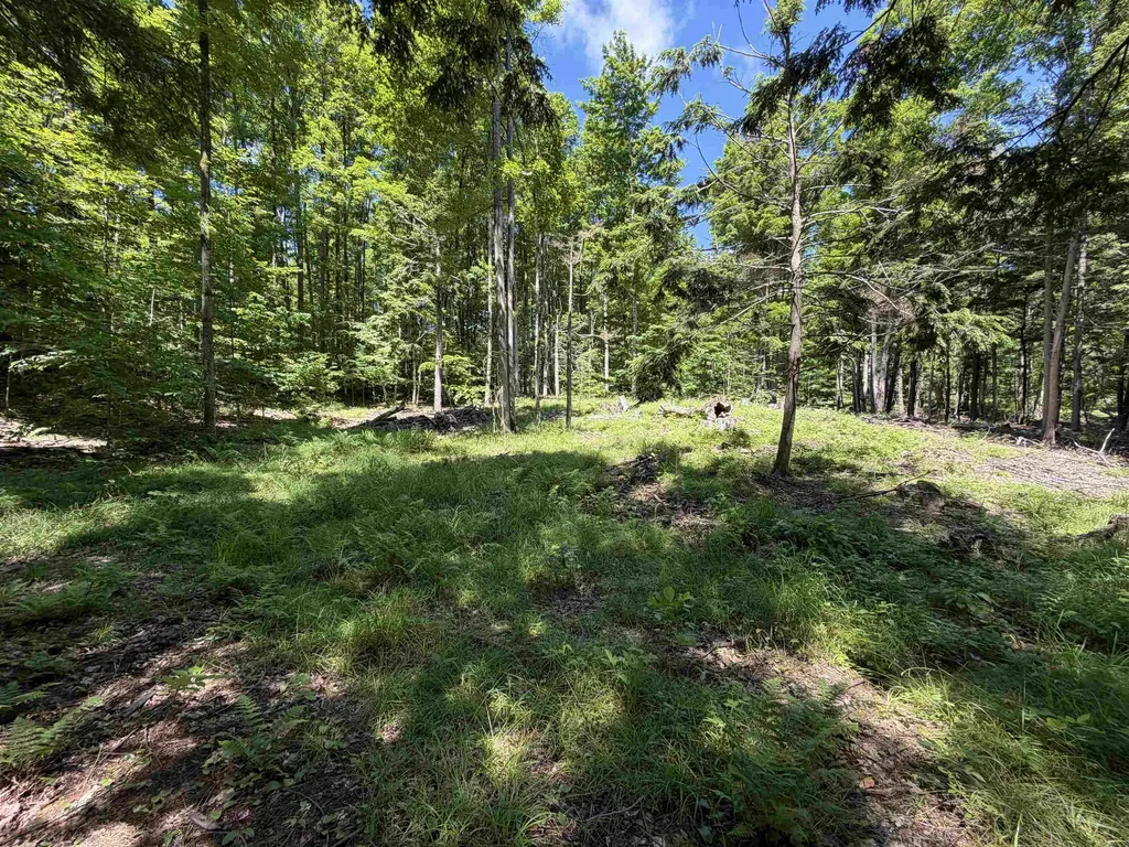 Tbd Lake Fife Lake Township MI 49633