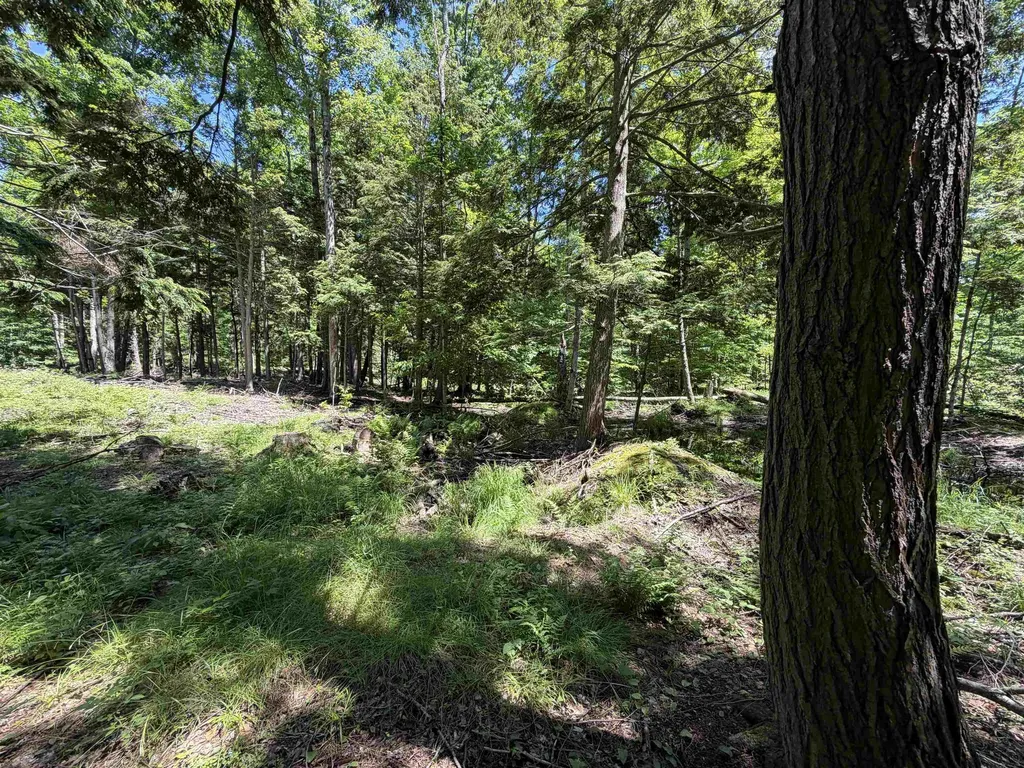 Tbd Lake Fife Lake Township MI 49633