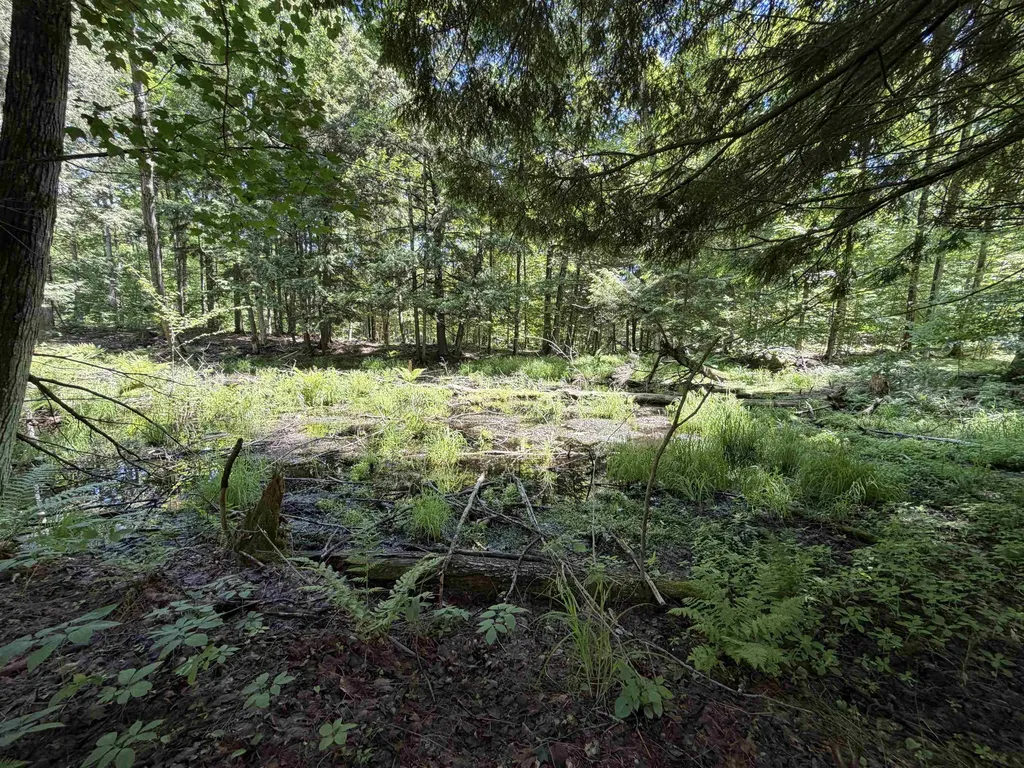 Tbd Lake Fife Lake Township MI 49633
