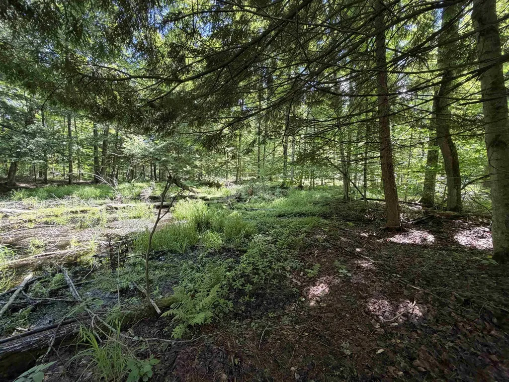 Tbd Lake Fife Lake Township MI 49633