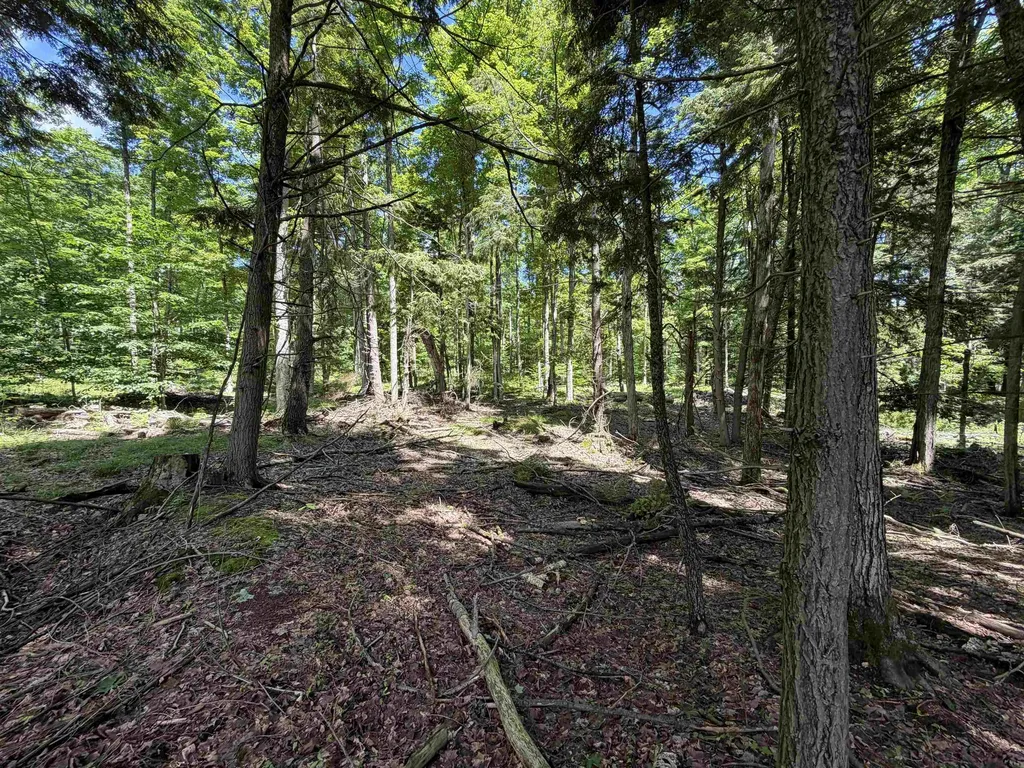 Tbd Lake Fife Lake Township MI 49633