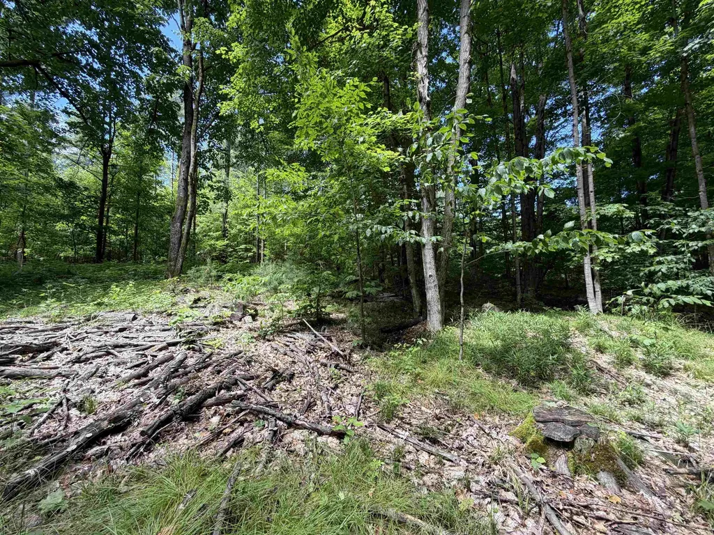 Tbd Lake Fife Lake Township MI 49633