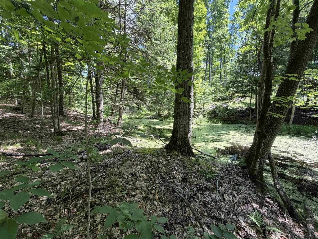 Tbd Lake Fife Lake Township MI 49633