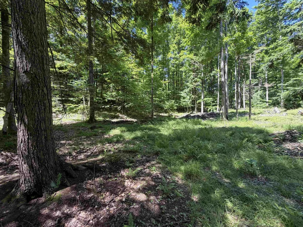 Tbd Lake Fife Lake Township MI 49633
