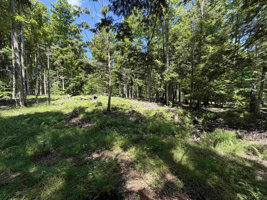 Tbd Lake Fife Lake Township MI 49633