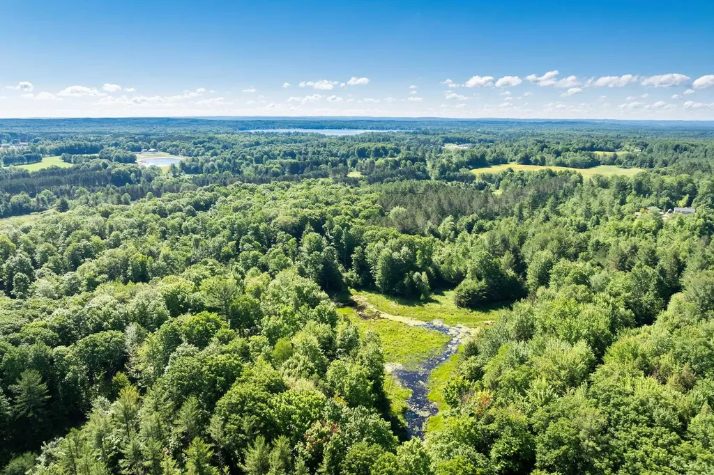 Tbd Lake Fife Lake Township MI 49633