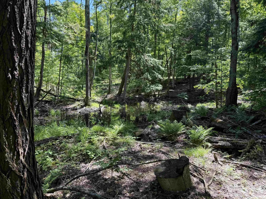 Tbd Lake Fife Lake Township MI 49633