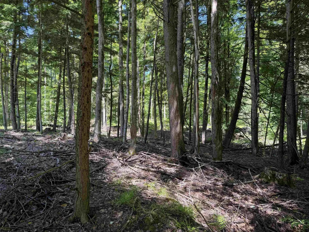 Tbd Lake Fife Lake Township MI 49633