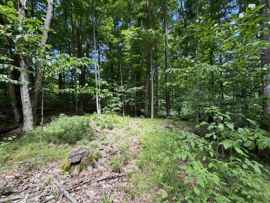 Tbd Lake Fife Lake Township MI 49633