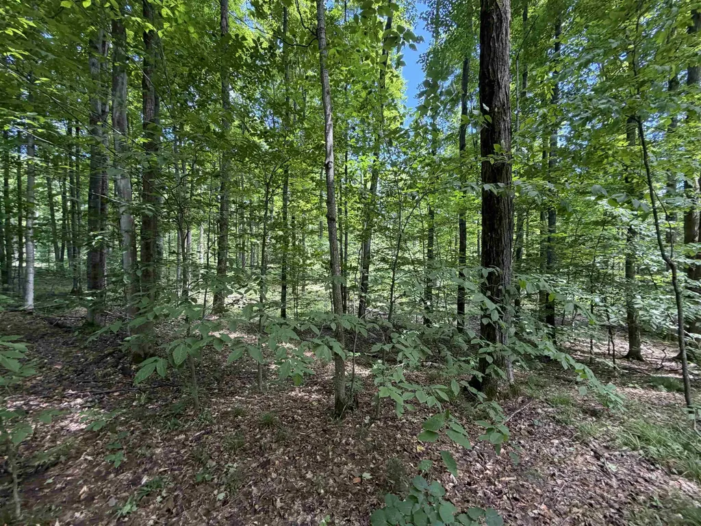 Tbd Lake Fife Lake Township MI 49633
