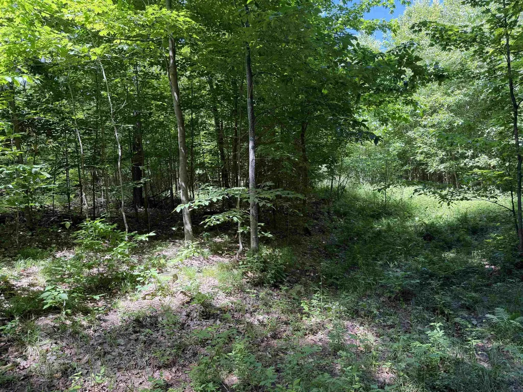 Tbd Lake Fife Lake Township MI 49633