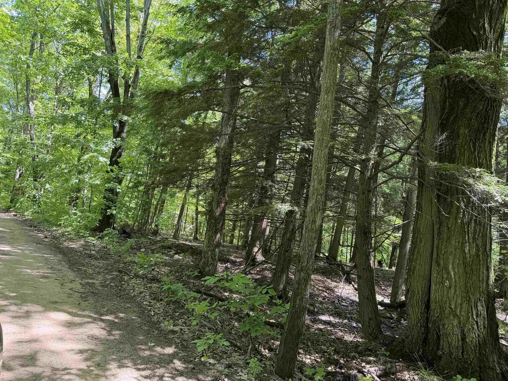 Tbd Lake Fife Lake Township MI 49633