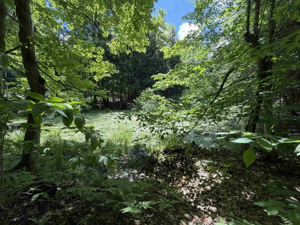 Tbd Lake Fife Lake Township MI 49633