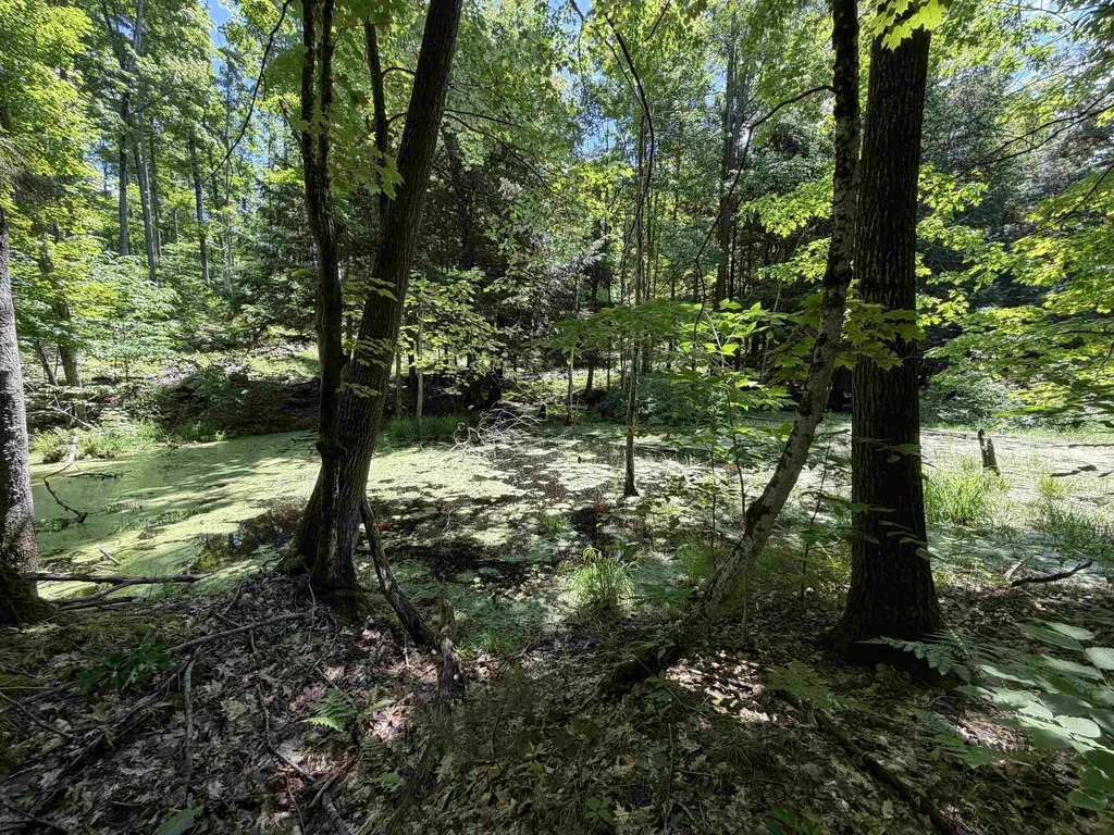 Tbd Lake Fife Lake Township MI 49633