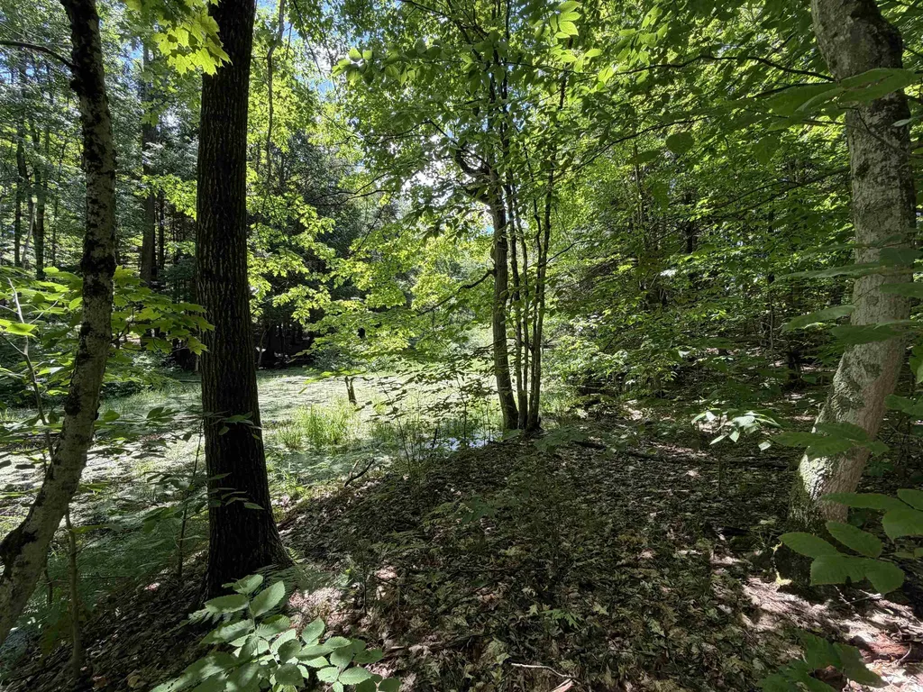 Tbd Lake Fife Lake Township MI 49633