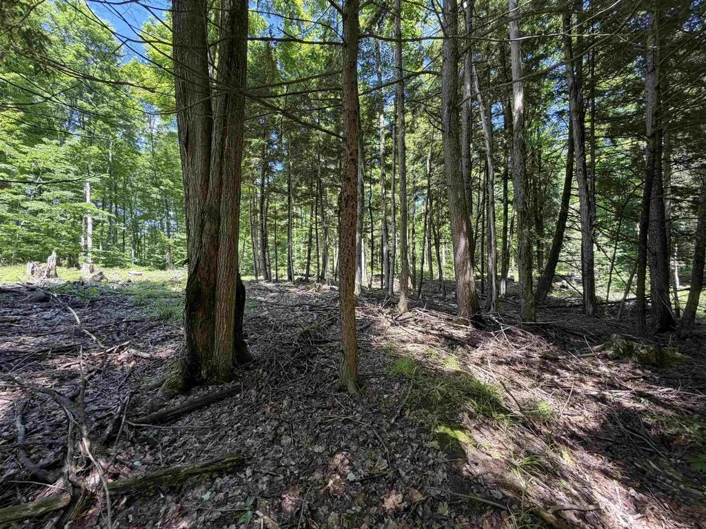Tbd Lake Fife Lake Township MI 49633