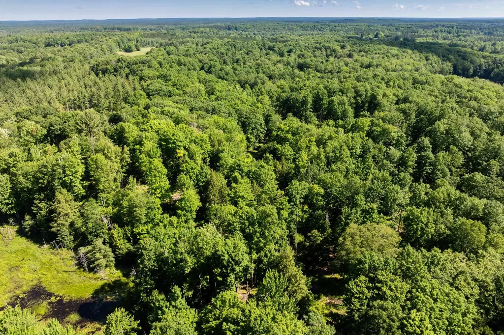 Tbd Lake Fife Lake Township MI 49633
