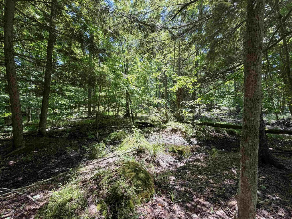 Tbd Lake Fife Lake Township MI 49633