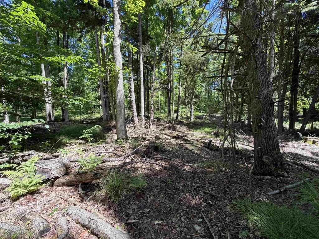 Tbd Lake Fife Lake Township MI 49633