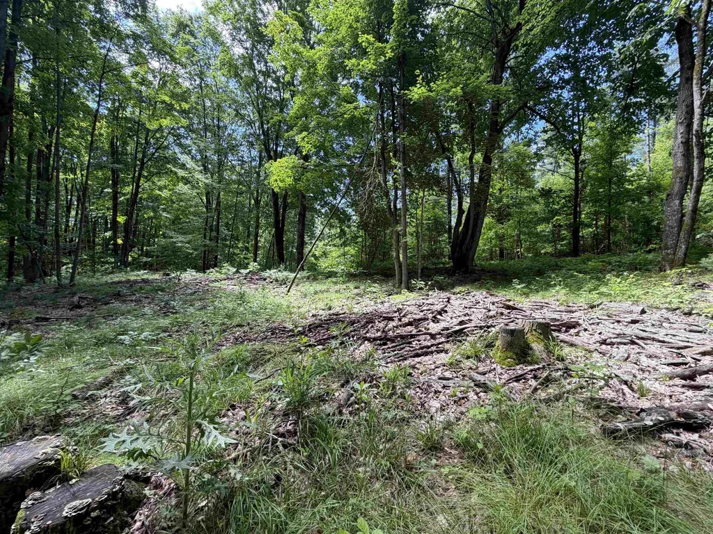Tbd Lake Fife Lake Township MI 49633