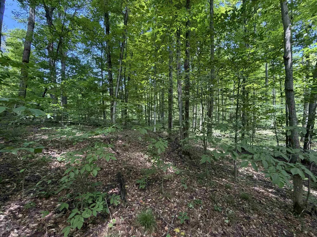 Tbd Lake Fife Lake Township MI 49633