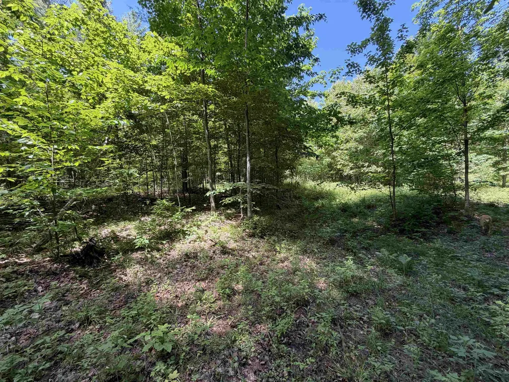 Tbd Lake Fife Lake Township MI 49633