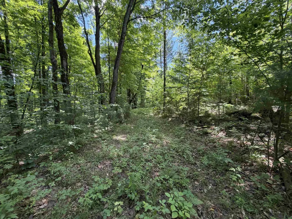 Tbd Lake Fife Lake Township MI 49633