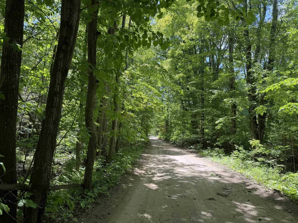 Tbd Lake Fife Lake Township MI 49633