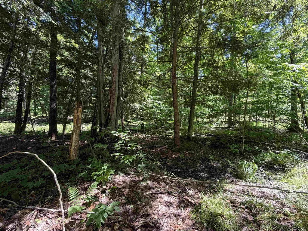 Tbd Lake Fife Lake Township MI 49633