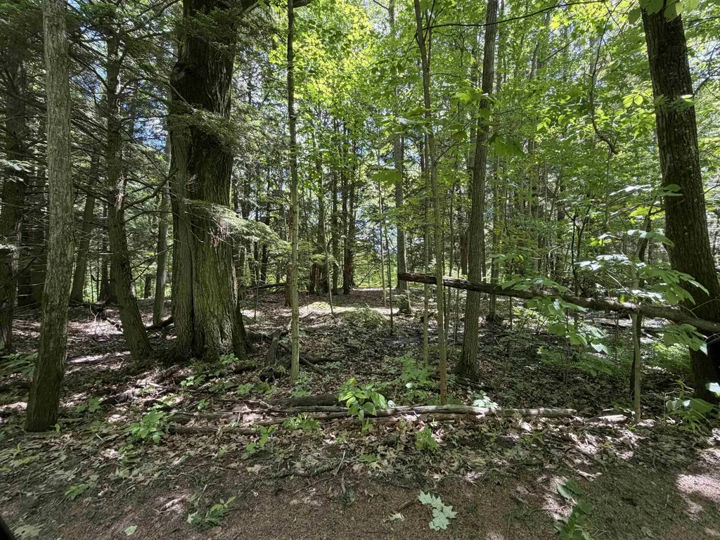 Tbd Lake Fife Lake Township MI 49633