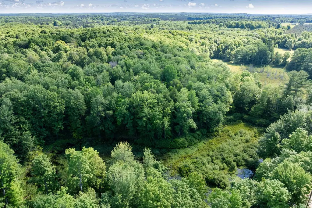 Tbd Lake Fife Lake Township MI 49633