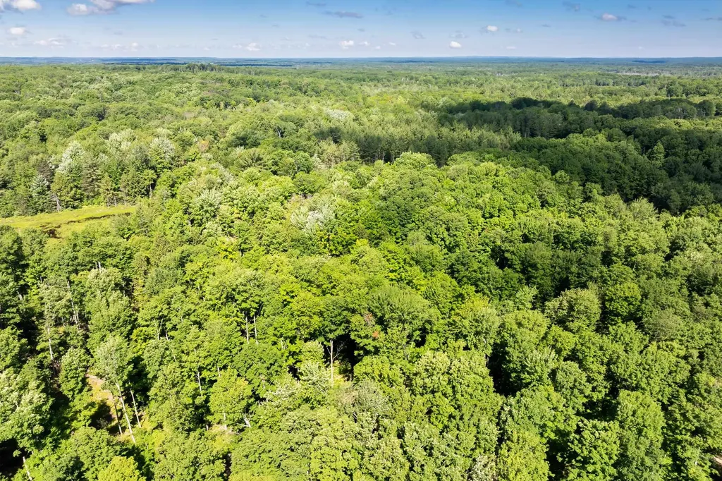 Tbd Lake Fife Lake Township MI 49633