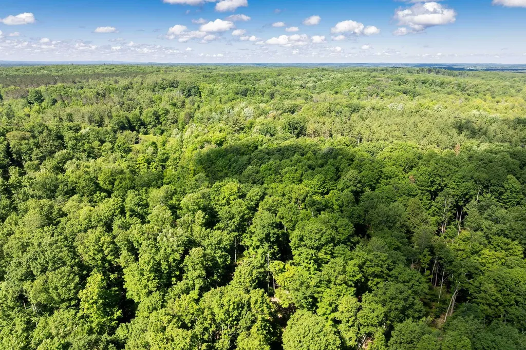 Tbd Lake Fife Lake Township MI 49633