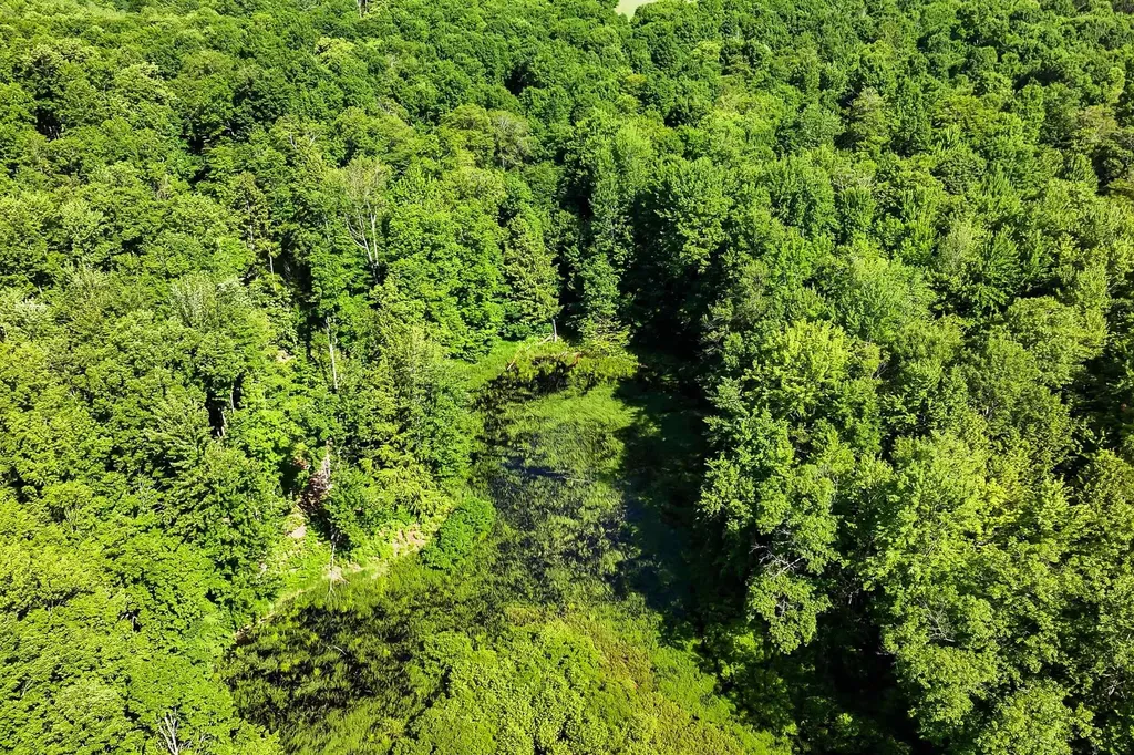 Tbd Lake Fife Lake Township MI 49633