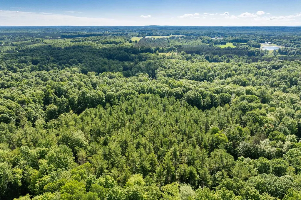 Tbd Lake Fife Lake Township MI 49633