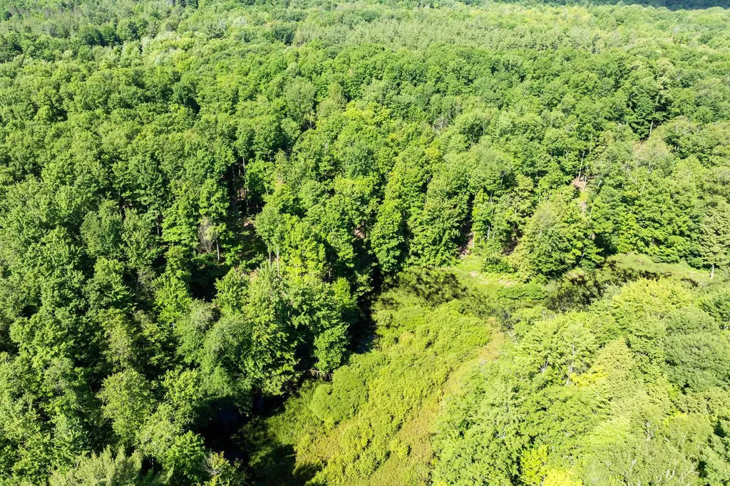 Tbd Lake Fife Lake Township MI 49633