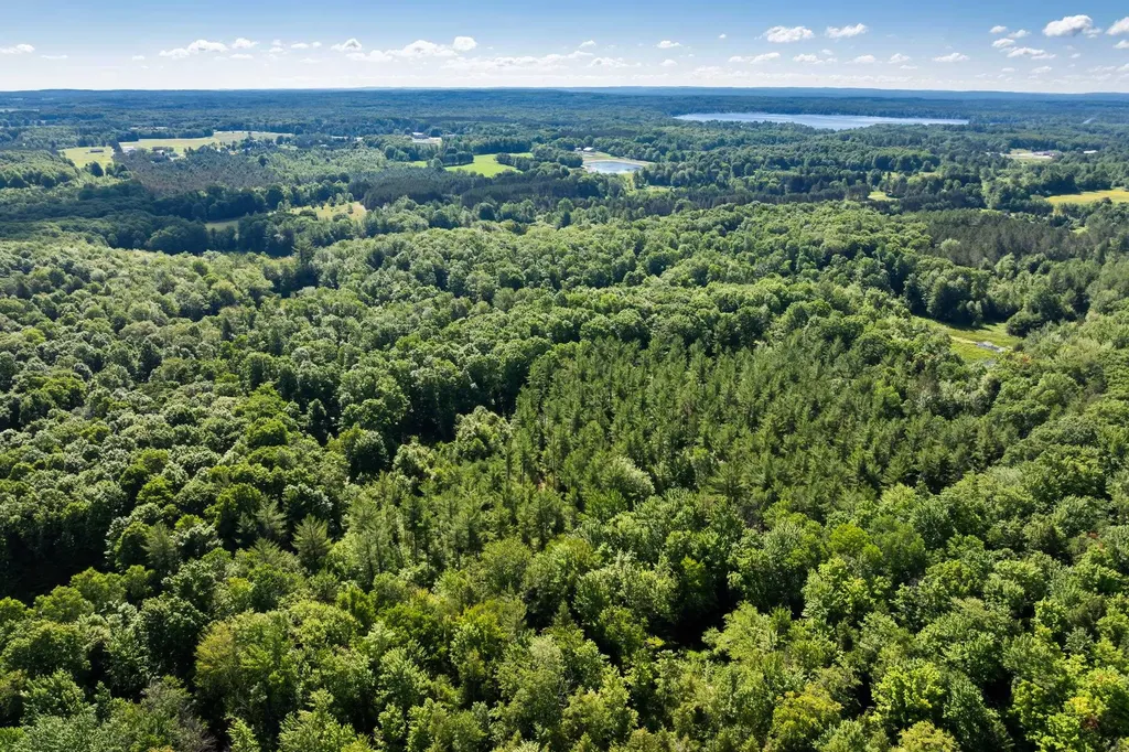 Tbd Lake Fife Lake Township MI 49633